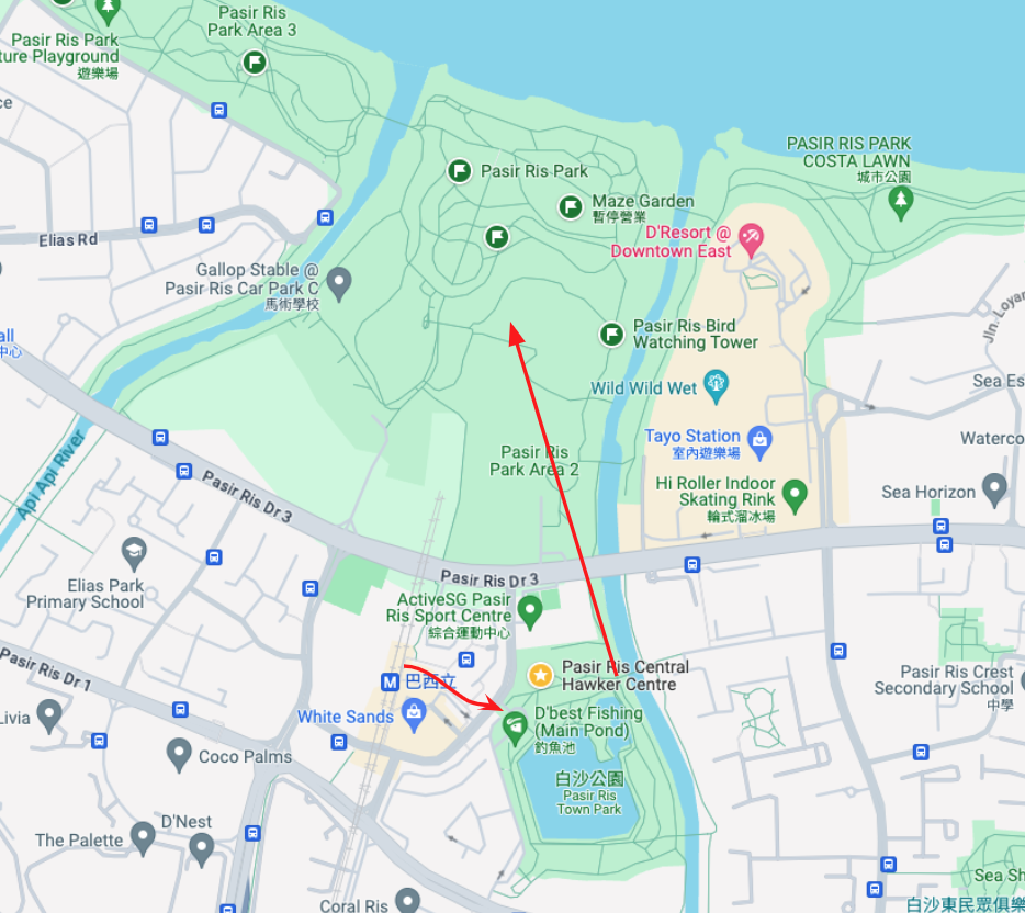 白沙公園賞鳥行走路線地圖