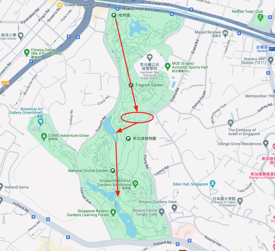 新加坡植物園賞鳥行走路線地圖