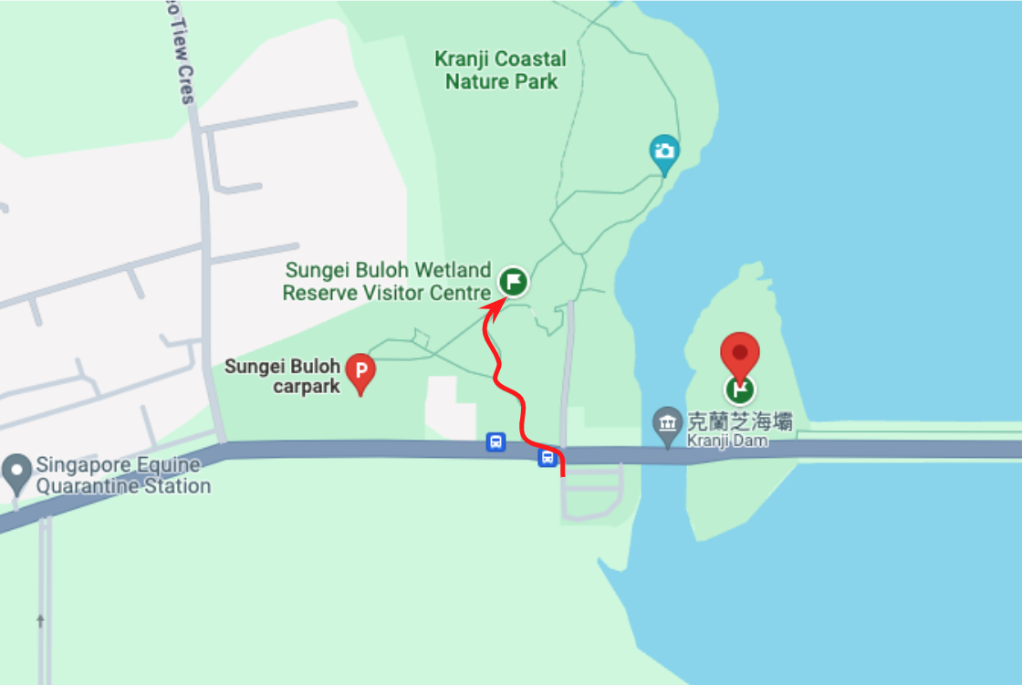 雙溪布洛濕地保護區公車到達後的行走路線