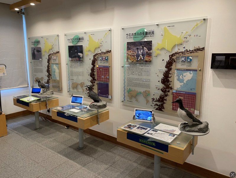 北海道海鳥センター內部展示
