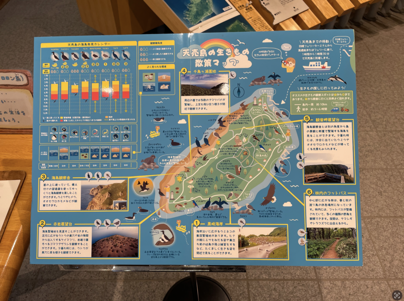 北海道海鳥センター鳥類情報展示