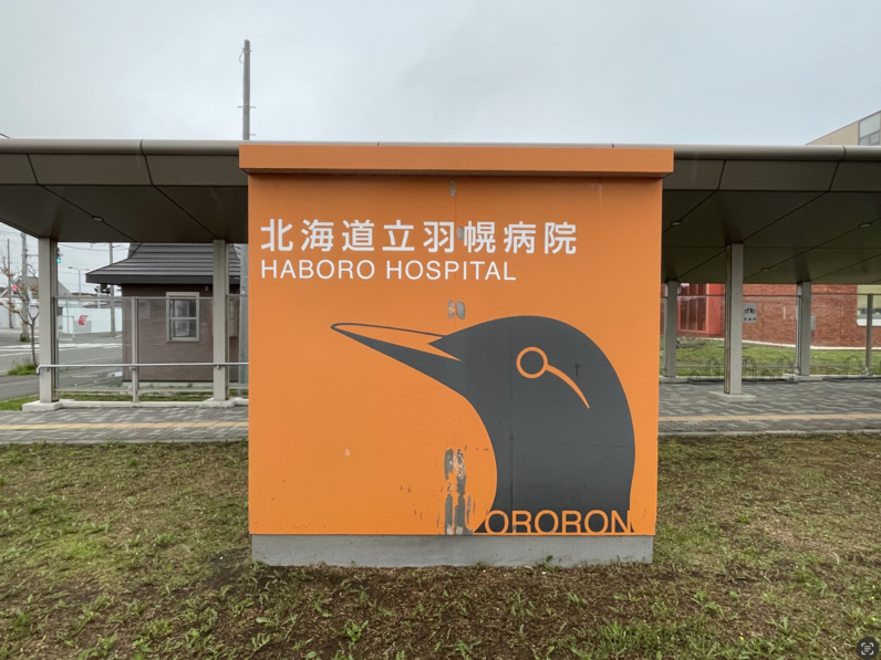 羽幌街上的崖海鴉裝飾