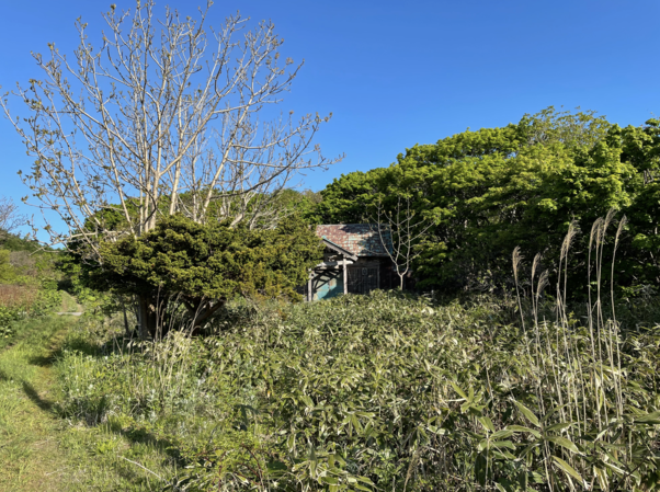 荒廢的三吉神社