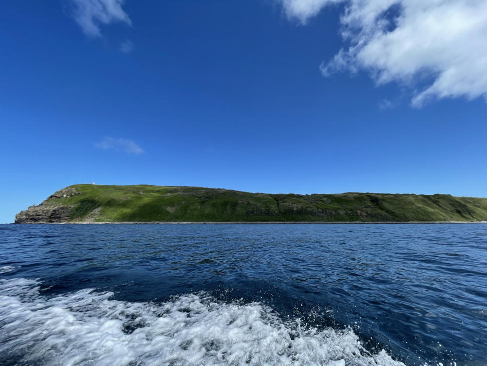 從船上眺望天売島