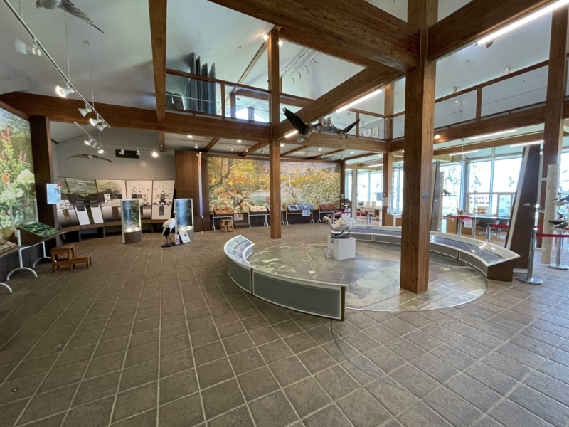 ウトナイ湖野生鳥獣保護センター內部，展示小朋友製作的正面鳥勞作