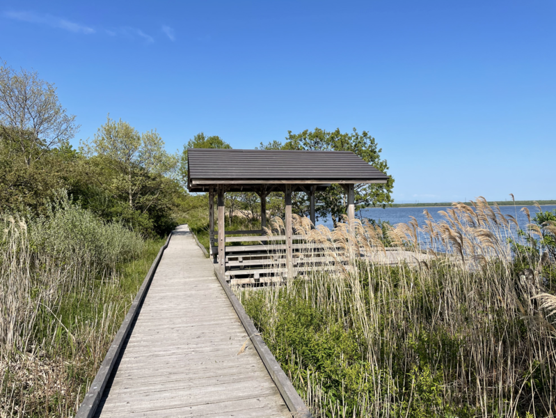 ウトナイ湖湖畔賞鳥步道
